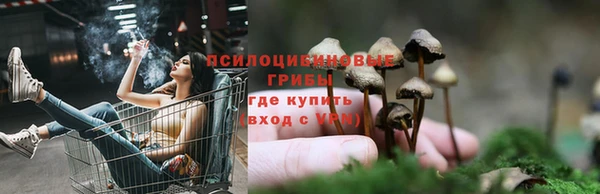 герыч Алексин