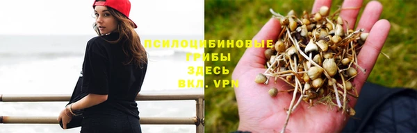 герыч Алексин