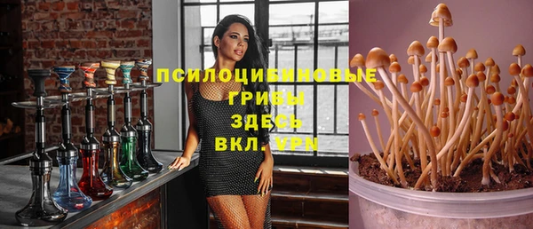 дживик Алзамай