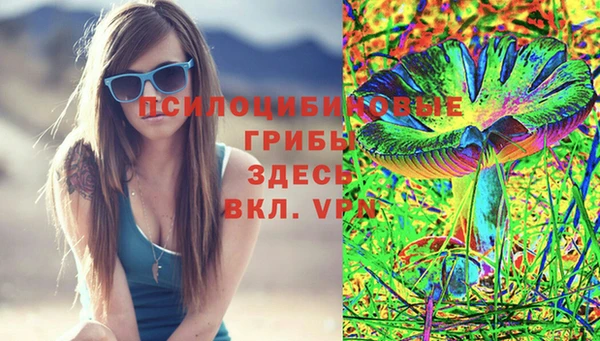 сатива Коряжма