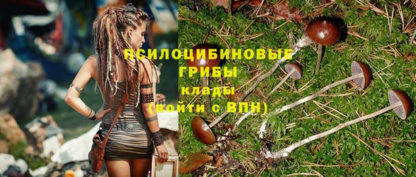 герыч Алексин