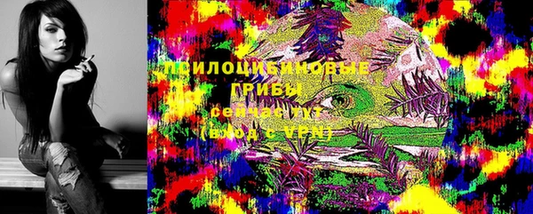 ГАЛЛЮЦИНОГЕННЫЕ ГРИБЫ Алексеевка