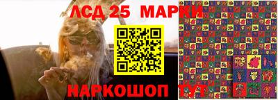 гидропоника Коммунар