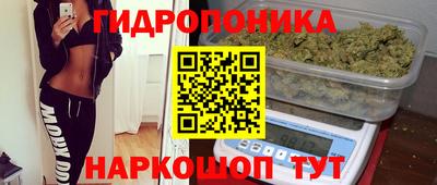 гидропоника Коммунар
