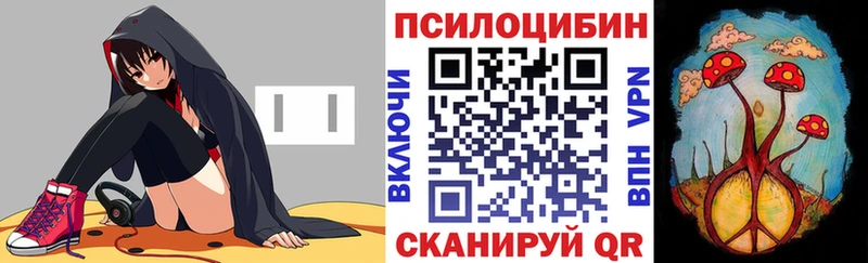 Галлюциногенные грибы Magic Shrooms  закладки  hydra ONION  Котельники 