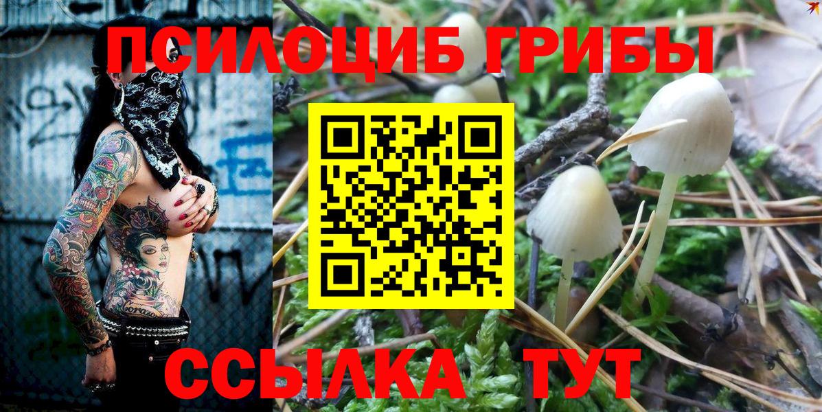Котельники  Галлюциногенные грибы Cubensis  Вход с VPN 