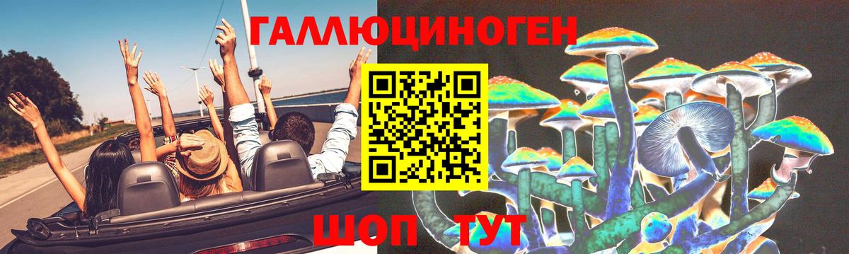 Псилоцибиновые грибы Psilocybine cubensis Котельники